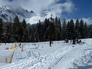 Tip for children  - Schneewutzels children's area run by the Skischule TOP Dienten ski school