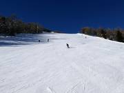 Black slope at the Tagliede Costaccia gondola