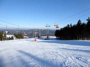Zieleniec ski resort