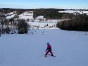 Slope at the drag lift