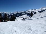 Sunny slope