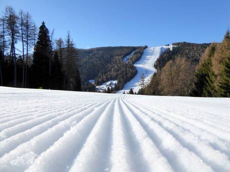 Slope preparation Vicentine Alps – Slope preparation Folgaria/Fiorentini