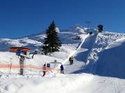 Sattelkopf - T-bar