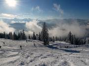 Fresh powder snow at Brauneck