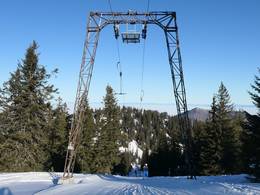 Spitzplaneck