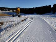 Trail in the Millegroppe Cross-Country Skiing Center