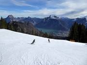 View from the slopes of Lake Traunsee