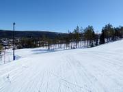 Parallellen slope