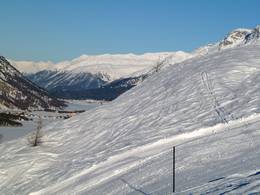 Aela – Maloja