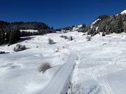 Trail in Villars