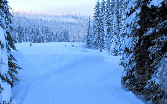 Cross-country skiing Interior Plateau – Cross-country skiing Sun Peaks