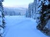 Cross-country skiing Canada – Cross-country skiing Sun Peaks
