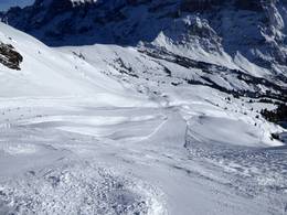 First – Grindelwald