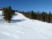 Slope 5 (Blue Slope)
