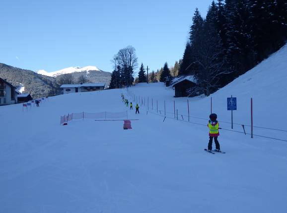 Babylift Viehhofen