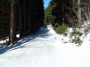 Hasen run
