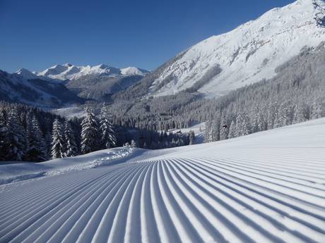 Slope preparation Reutte – Slope preparation Berwang/Bichlbach/Rinnen