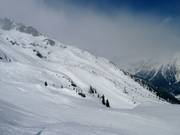 View of the slopes of La Flégère