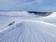 Easy slope in the Tänndalen ski area