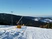 Snow reliability Eastern Bavaria (Ostbayern) – Snow reliability Markbuchen/Predigtstuhl (St. Englmar)