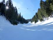 Lower Olympic slope