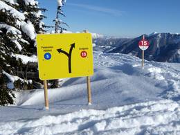 Riesneralm – Donnersbachwald
