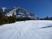 Weißlähn run