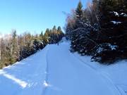 Rifenal Run No. 1