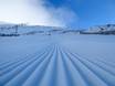 Slope preparation New Zealand – Slope preparation Cardrona