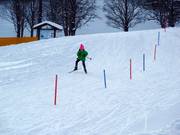 Children's cross-country skiing school