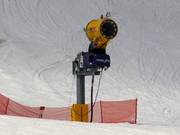 Snow cannon at the valley run