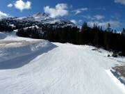Easy family slope