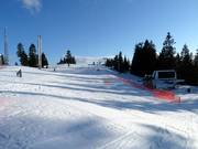 Paradise run at Greenway Chair