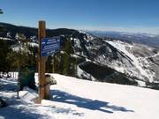 Start Bird of Prey downhill