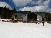 Snoasis