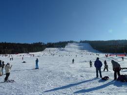 Mehliskopf