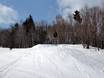 Snow parks Asia – Snow park Furano