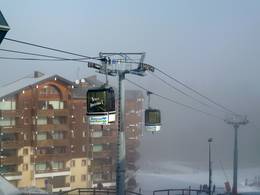 Morillon