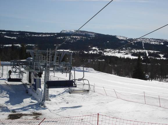 Skeiheisen