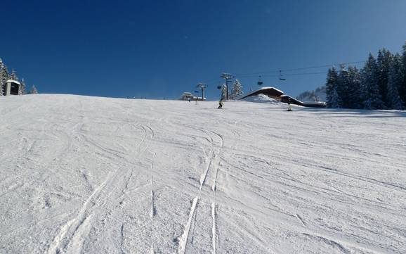 Slope preparation Laternsertal – Slope preparation Laterns – Gapfohl