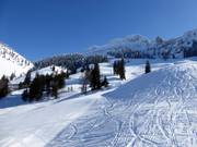 Slopes around the Gorialm