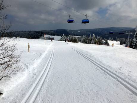 Cross-country skiing Black Forest (Schwarzwald) – Cross-country skiing Feldberg – Seebuck/Grafenmatt/Fahl