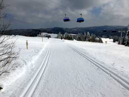 Feldberg – Seebuck/Grafenmatt/Fahl