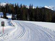 Trail in Serfaus