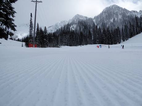 Slope preparation Selkirk Mountains – Slope preparation Whitewater – Nelson