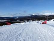 Idre Fjäll ski cross