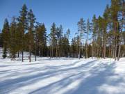 Sustainable ski resort Idre Himmelfjäll
