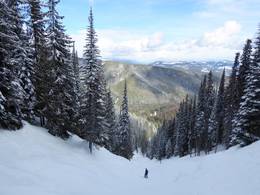 SilverStar