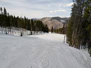 Slopes on the Front Side towards Vail