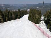 Mechi Chal slope